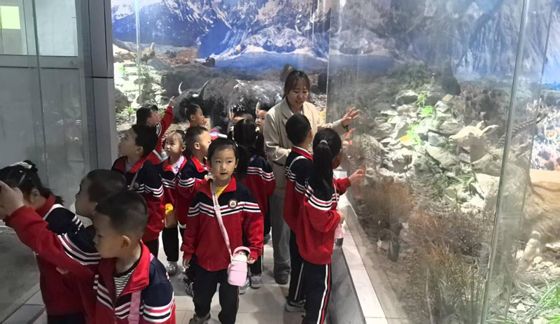 图片2_副本.jpg