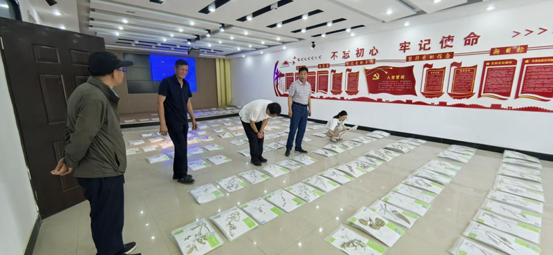 图片4_副本.png
