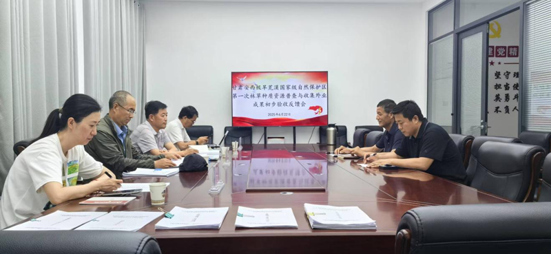 图片3_副本.png