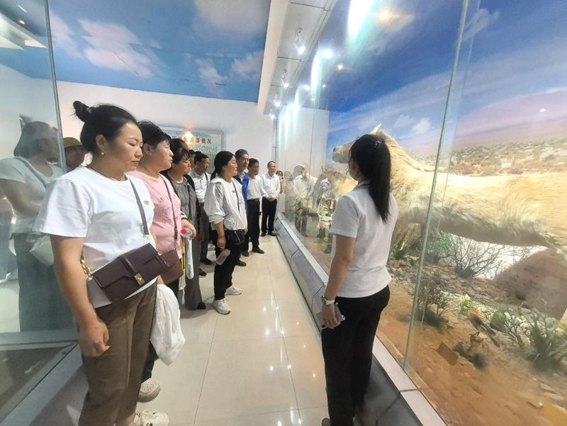 图片2_副本.jpg